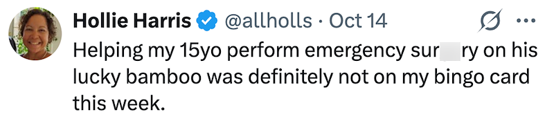 Hollie Harris @allholls Oct 14 ... Helping my 15yo perform emergency sur ry on his lucky bamboo was definitely not on my bingo card this week.