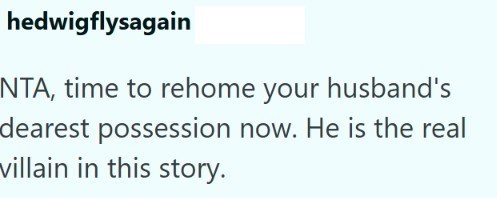 hedwigflysagain NTA, time to rehome your husband's dearest possession now. He is the real villain in this story.