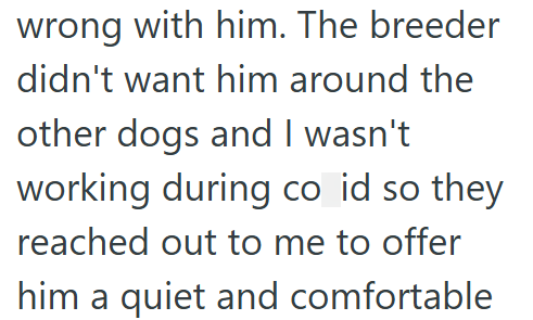 wrong with him. The breeder didn't want him around the other dogs and I wasn't working during co_id so they reached out to me to offer him a quiet and comfortable