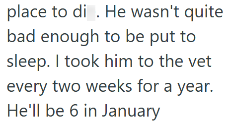 place to di. He wasn't quite bad enough to be put to sleep. I took him to the vet every two weeks for a year. He'll be 6 in January