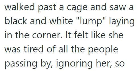 walked past a cage and saw a black and white "lump" laying in the corner. It felt like she was tired of all the people passing by, ignoring her, so