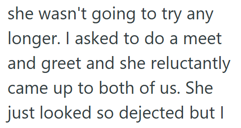 she wasn't going to try any longer. I asked to do a meet and greet and she reluctantly came up to both of us. She just looked so dejected but I
