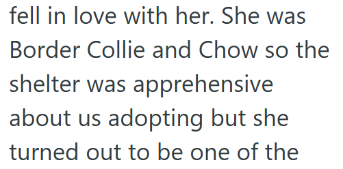 fell in love with her. She was Border Collie and Chow so the shelter was apprehensive about us adopting but she turned out to be one of the