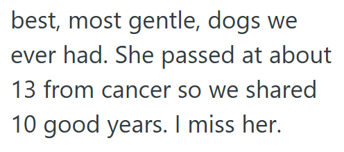 best, most gentle, dogs we ever had. She passed at about 13 from cancer so we shared 10 good years. I miss her.
