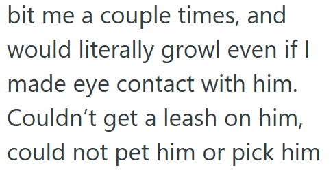 bit me a couple times, and would literally growl even if I made eye contact with him. Couldn't get a leash on him, could not pet him or pick him