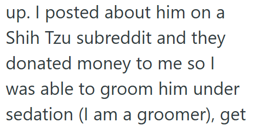 up. I posted about him on a Shih Tzu subreddit and they donated money to me so I was able to groom him under sedation (I am a groomer), get