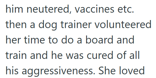 him neutered, vaccines etc. then a dog trainer volunteered her time to do a board and train and he was cured of all his aggressiveness. She loved