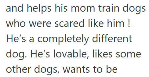 and helps his mom train dogs who were scared like him! He's a completely different dog. He's lovable, likes some other dogs, wants to be