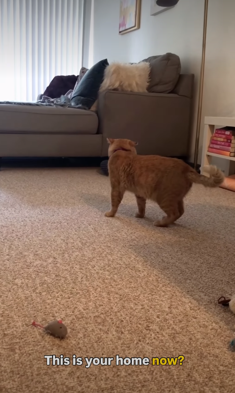 This is your home now?