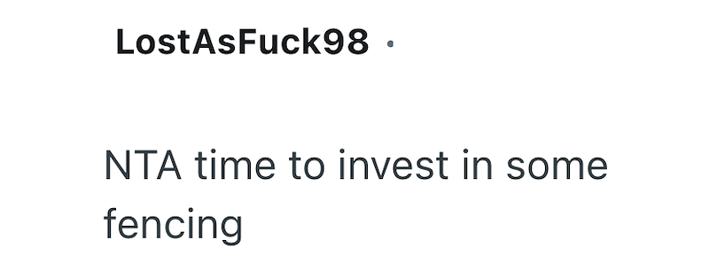 LostAsFuck98 · NTA time to invest in some fencing