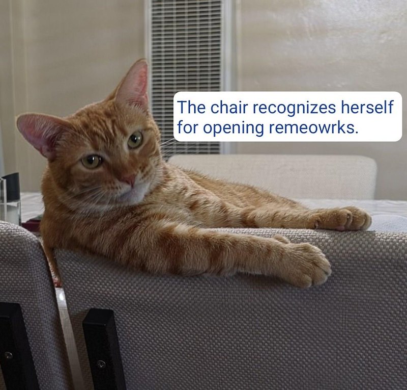 The chair recognizes herself for opening remeowrks.