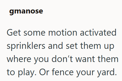 gmanose Get some motion activated sprinklers and set them up where you don't want them to play. Or fence your yard.