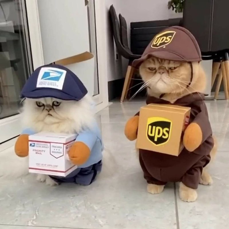 PRIORITY MAIL Ups ups