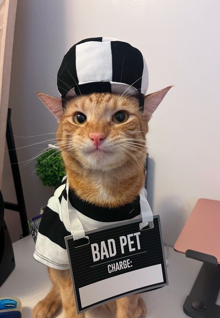 BAD PET CHARGE: