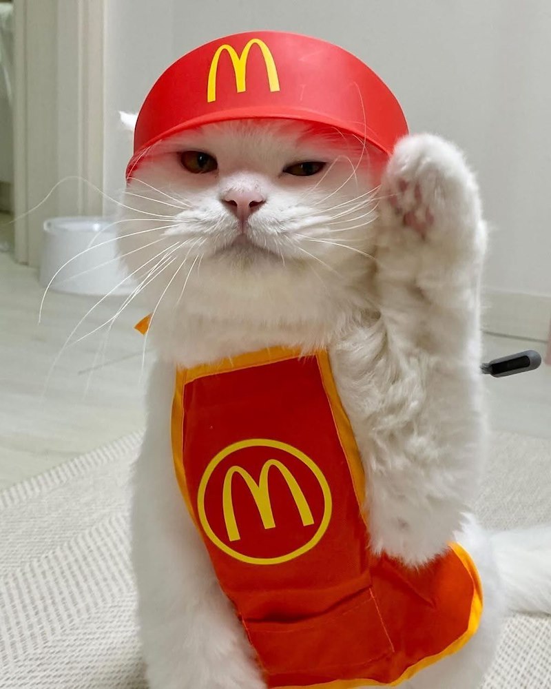 3 3