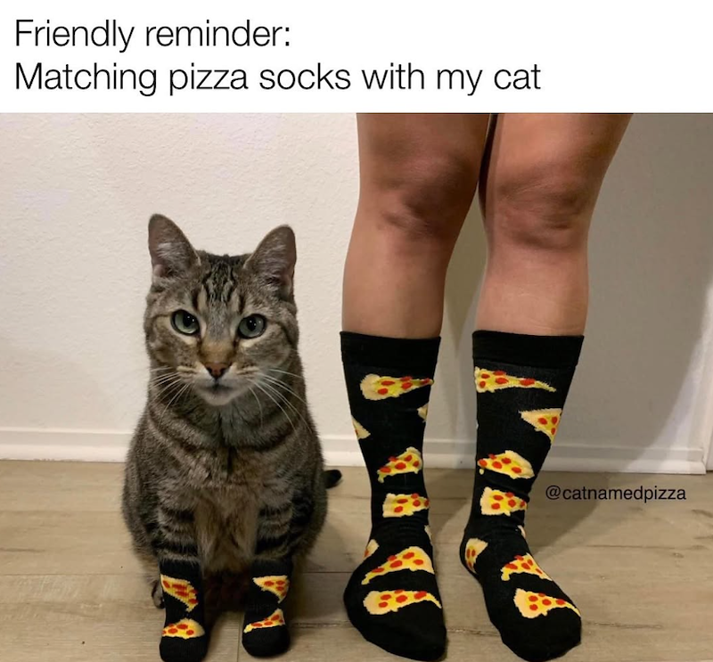 Friendly reminder: Matching pizza socks with my cat @catnamedpizza