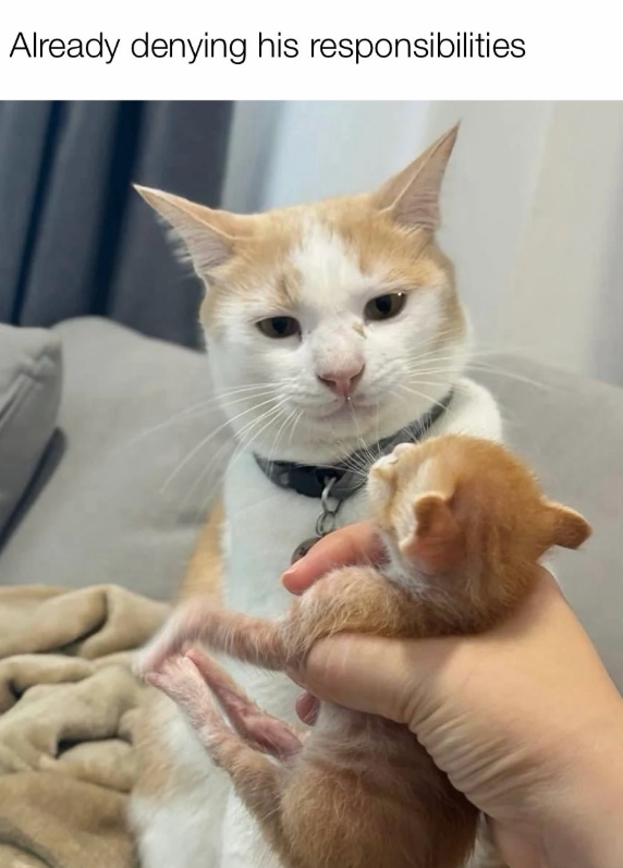 Already denying his responsibilities
