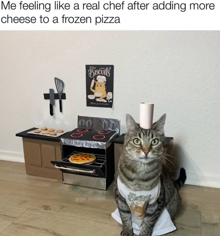 Me feeling like a real chef after adding more cheese to a frozen pizza Killyp BISCUITS 00 38 00 @the_pizzacat Kitty Biscuk
