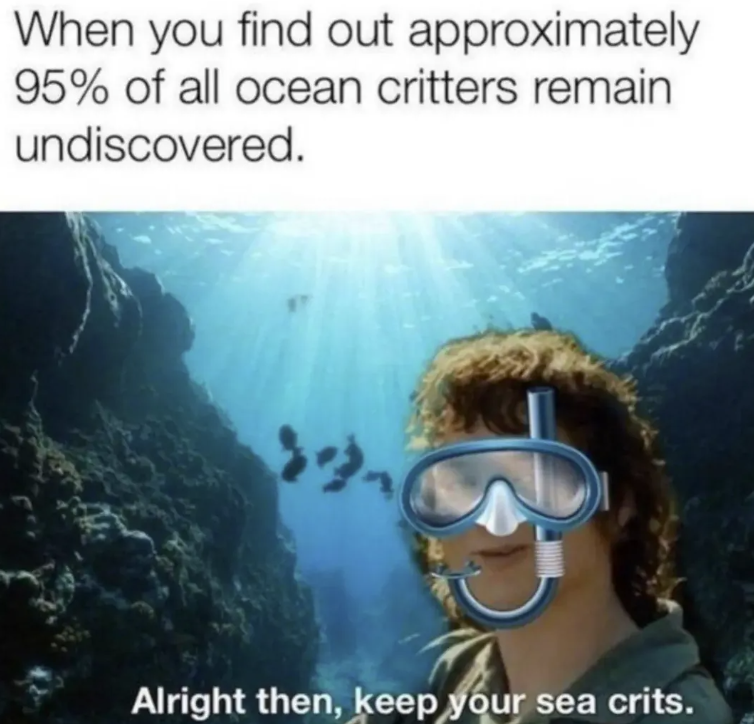 When you find out approximately 95% of all ocean critters remain undiscovered. Alright then, keep your sea crits.