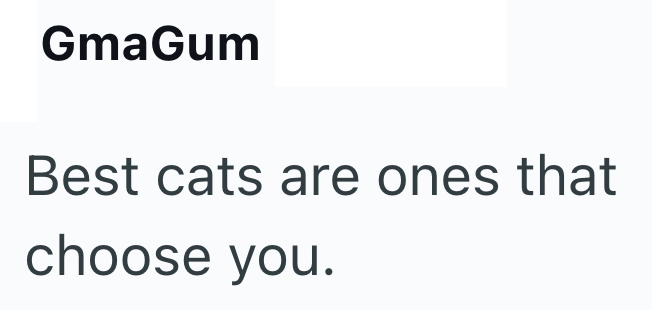 GmaGum Best cats are ones that choose you.