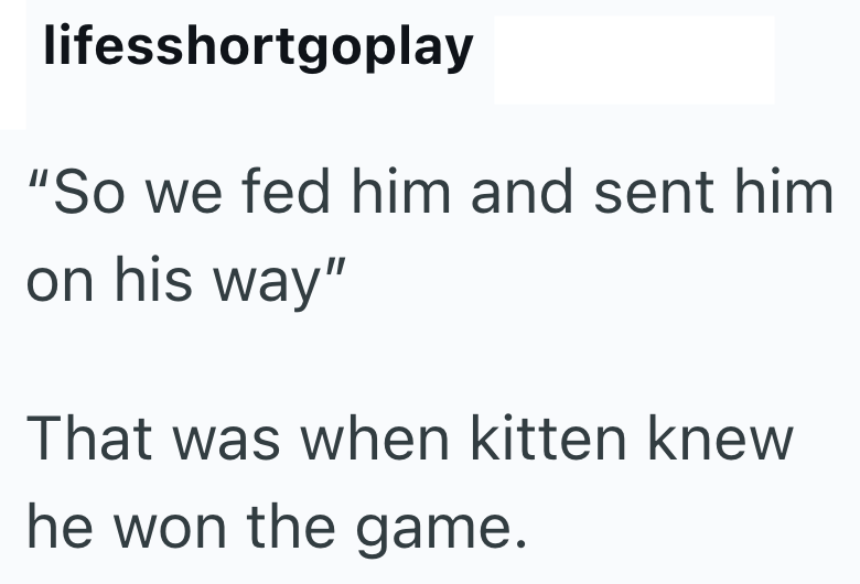 lifesshortgoplay "So we fed him and sent him on his way" That was when kitten knew he won the game.