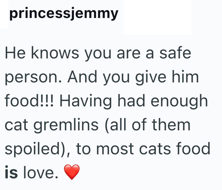 princessjemmy He knows you are a safe person. And you give him food!!! Having had enough cat gremlins (all of them spoiled), to most cats food is love.