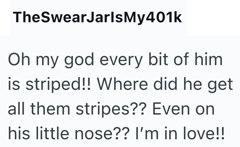 TheSwearJarlsMy401k Oh my god every bit of him is striped!! Where did he get all them stripes?? Even on his little nose?? I'm in love!!
