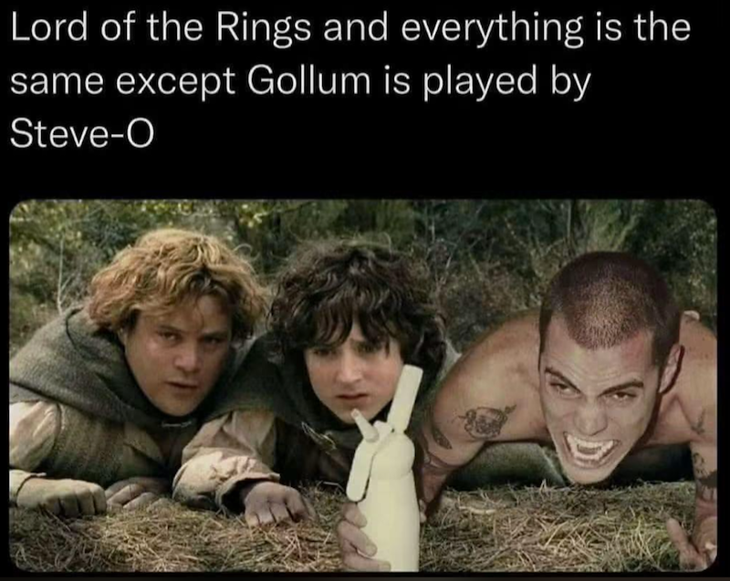 Lord of the Rings and everything is the same except Gollum is played by Steve-O