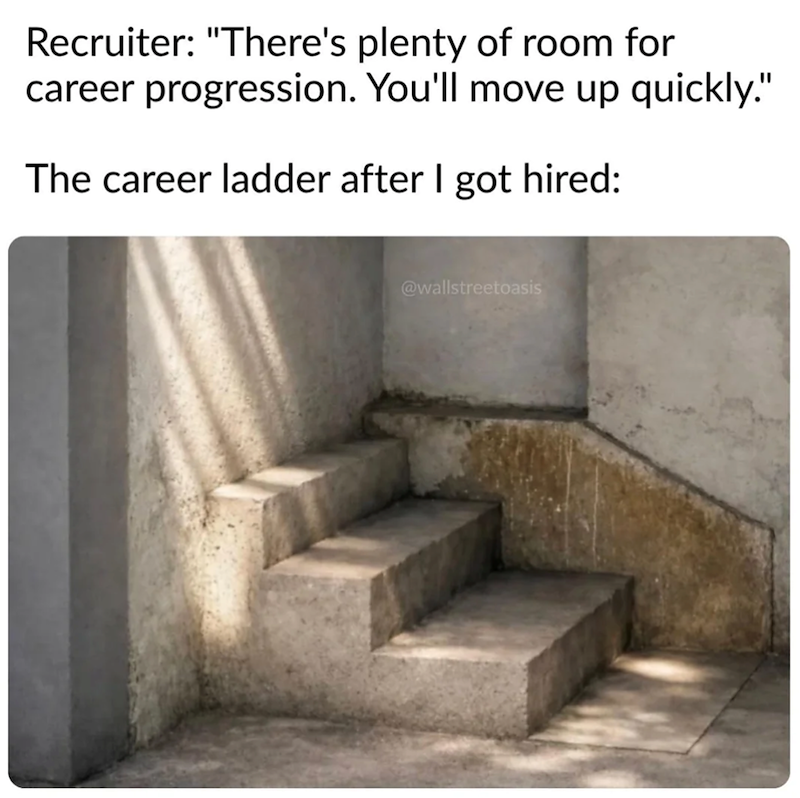 Recruiter: "There's plenty of room for career progression. You'll move up quickly." The career ladder after I got hired: @wallstreetoasis