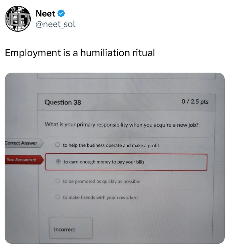 Neet @neet_sol Employment is a humiliation ritual Correct Answer Question 38 0/2.5 pts What is your primary responsibility when you acquire a new job? Oto help the business operate and make a profit You Answered to earn enough money to pay your bills to be promoted as quickly as possible to make friends with your coworkers Incorrect