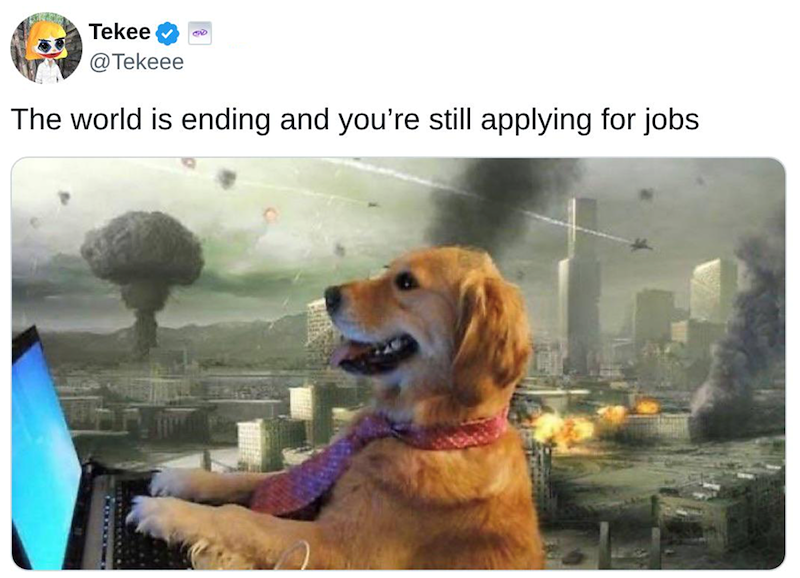 Tekee @Tekeee கம் The world is ending and you're still applying for jobs