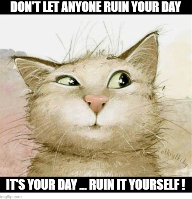 DON'T LET ANYONE RUIN YOUR DAY tkrytki.by IT'S YOUR DAY... RUIN IT YOURSELF! imgflip.com