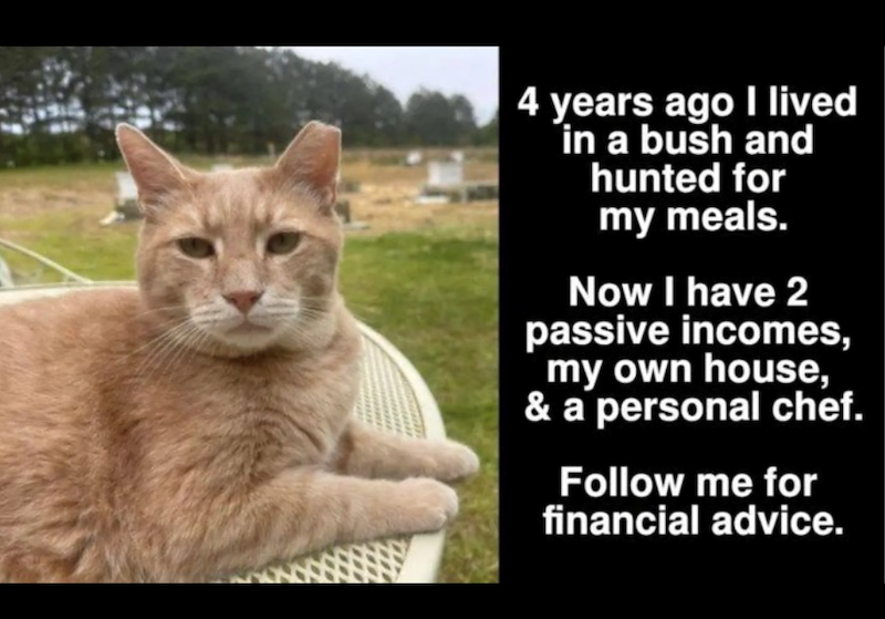 4 years ago I lived in a bush and hunted for my meals. Now I have 2 passive incomes, my own house, & a personal chef. Follow me for financial advice.