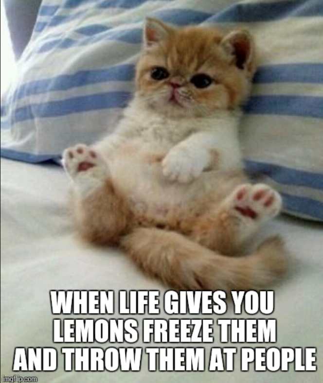WHEN LIFE GIVES YOU LEMONS FREEZE THEM AND THROW THEM AT PEOPLE imgflip.com