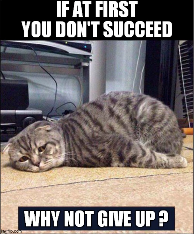 IF AT FIRST YOU DON'T SUCCEED imgflip.com WHY NOT GIVE UP?