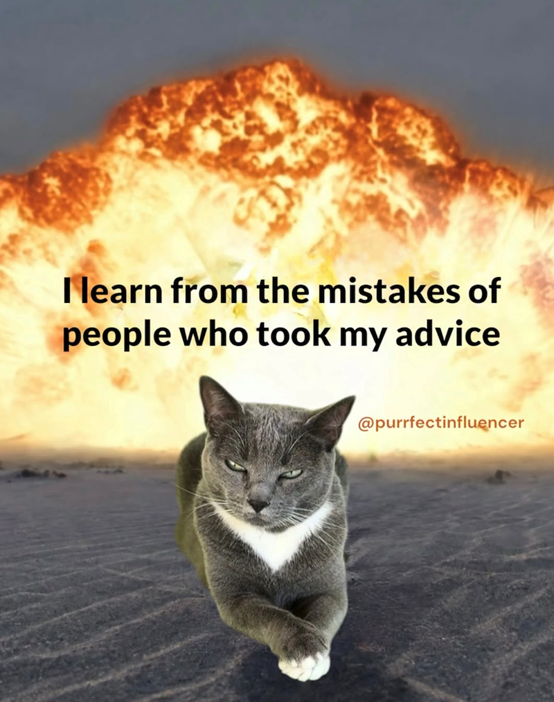 I learn from the mistakes of people who took my advice @purrfectinfluencer