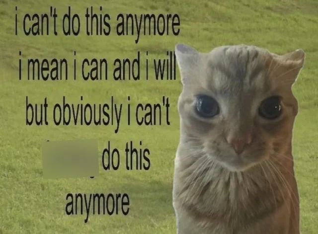 i can't do this anymore i mean i can and i will but obviously i can't do this anymore