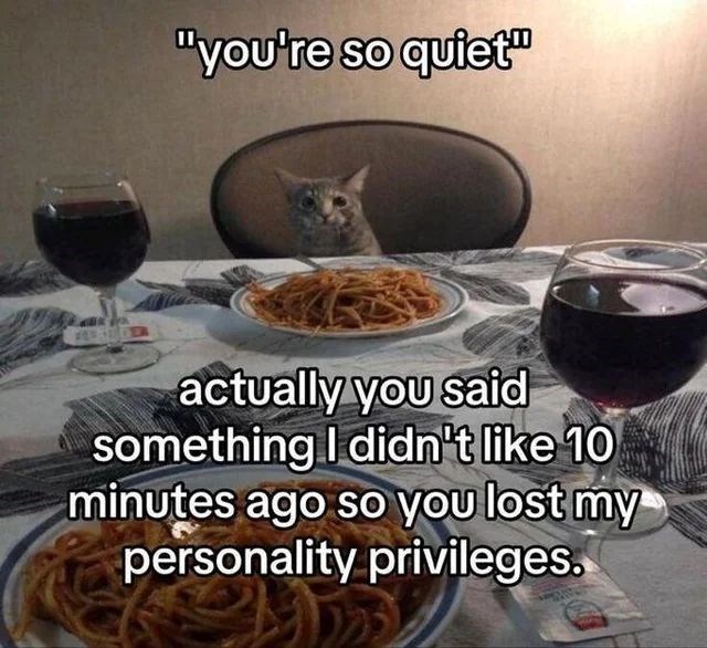 "you're so quiet" actually you said something I didn't like 10 minutes ago so you lost my personality privileges.