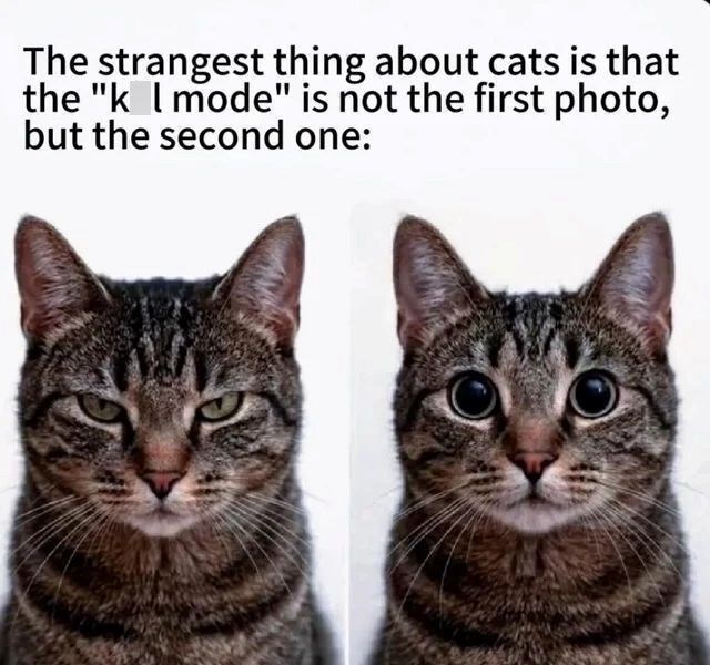 The strangest thing about cats is that the "k I mode" is not the first photo, but the second one: