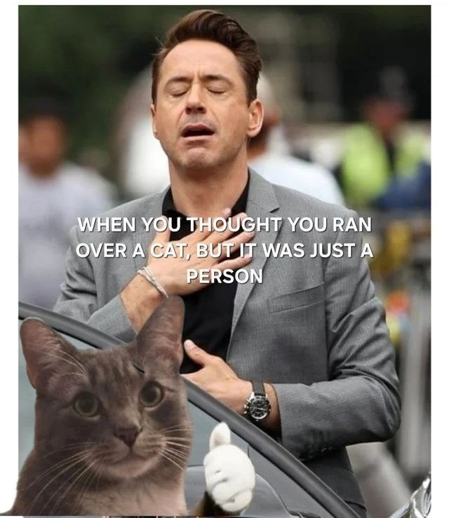 WHEN YOU THOUGHT YOU RAN OVER A CAT, BUT IT WAS JUST A PERSON