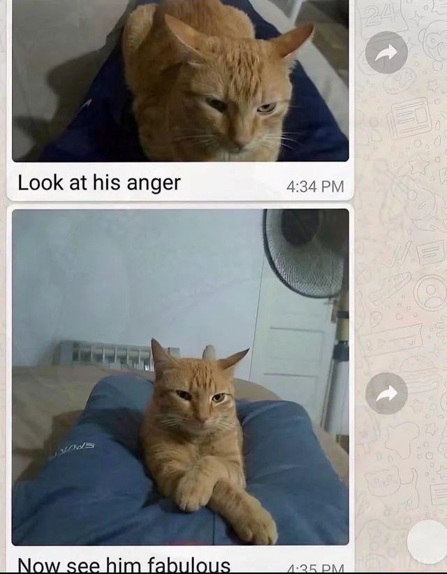 Look at his anger 4:34 PM Now see him fabulous 4-35 PM 24 J 000