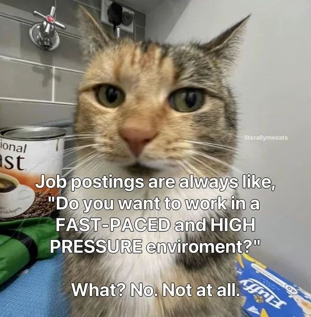 literallymecats ional ast Job postings are always like, "Do you want to work in a FAST-PACED and HIGH PRESSURE enviroment?" What? No. Not at all.