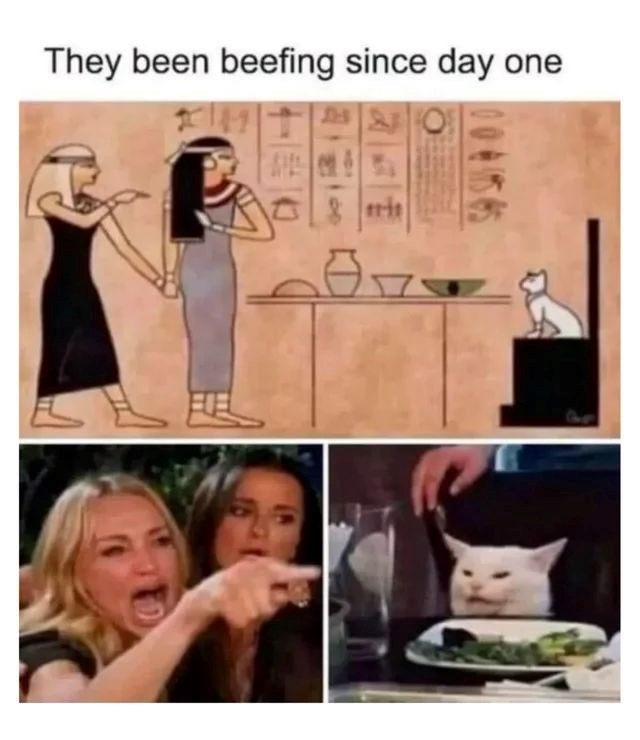 They been beefing since day one 體 N 阻 J