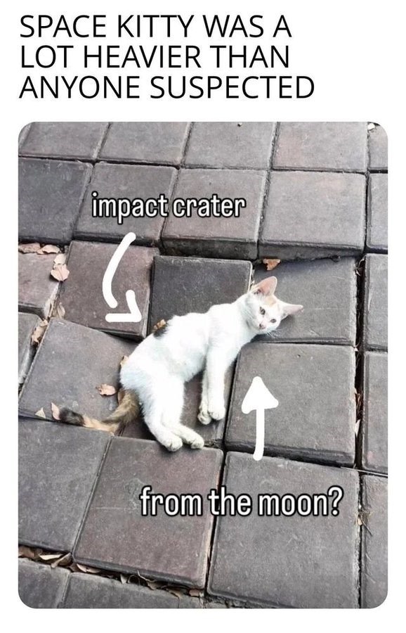 SPACE KITTY WAS A LOT HEAVIER THAN ANYONE SUSPECTED impact crater from the moon?