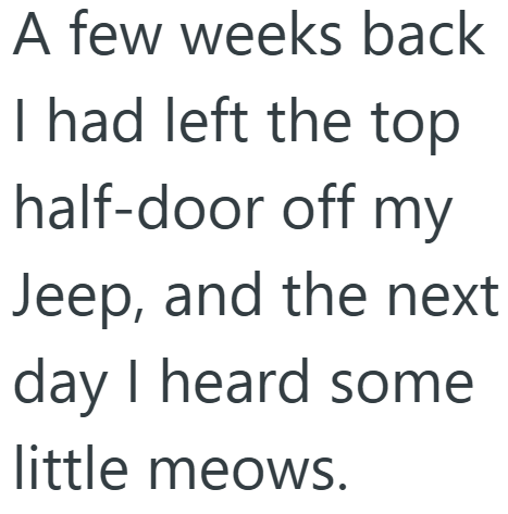 A few weeks back I had left the top half-door off my Jeep, and the next day I heard some little meows.
