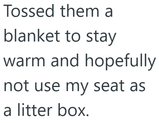 Tossed them a blanket to stay warm and hopefully not use my seat as a litter box.