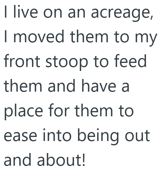 I live on an acreage, I moved them to my front stoop to feed them and have a place for them to ease into being out and about!