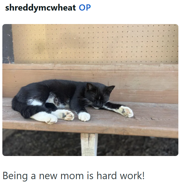 shreddymcwheat OP Being a new mom is hard work!