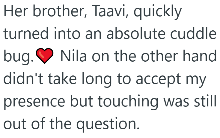 Her brother, Taavi, quickly turned into an absolute cuddle bug. Nila on the other hand didn't take long to accept my presence but touching was still out of the question.