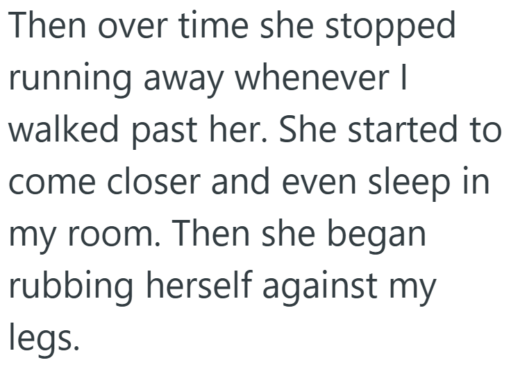 Then over time she stopped running away whenever I walked past her. She started to come closer and even sleep in my room. Then she began rubbing herself against my legs.